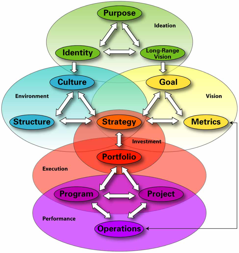 Strategy Execution Framework Strategy Execution Assessment